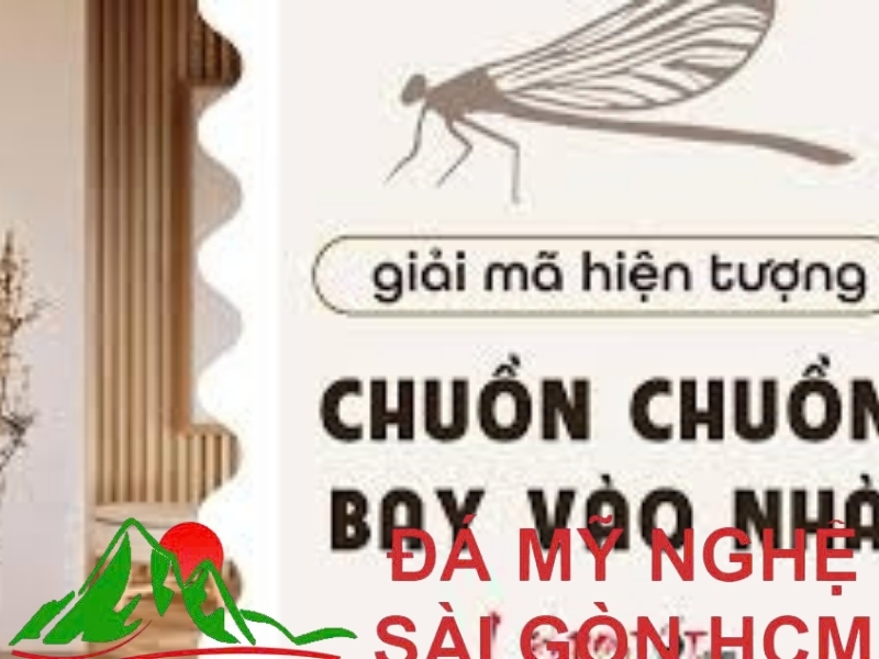 chuồn chuồn đậu ở bàn thờ